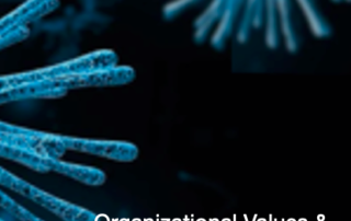 Organizational Values and Coronavirus Business Risks