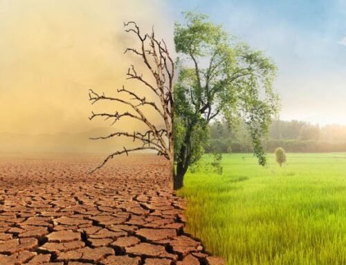 Climate Change Law: Tension Increases Over Governmental and Corporate Responsibility