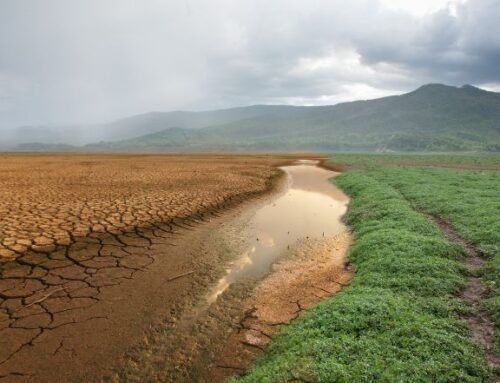 HB Environmental Update Monday, Dec. 15, 2025 | Feds Step Back, States Step In, Courts Push Back, EPA Wavers