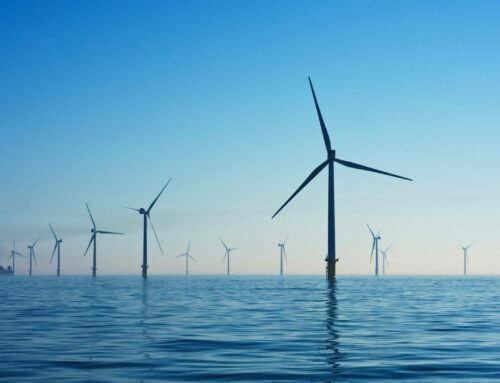 Judge finds flaws in motion for an injunction against Trump’s wind turbine order