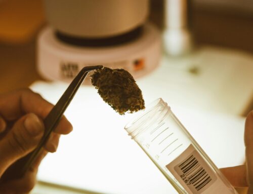 Cannabis Laws & Workplace Drug Testing: What Employers & Employees MUST Know in 2026